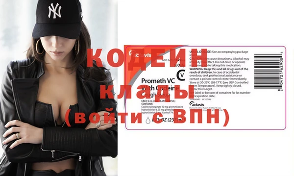 шишки Новодвинск