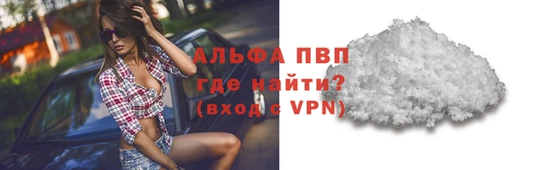spice Алзамай