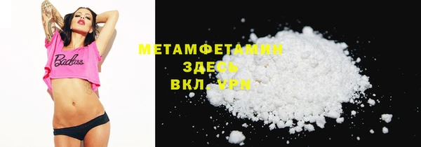 шишки Новодвинск
