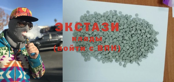 твердый Новозыбков