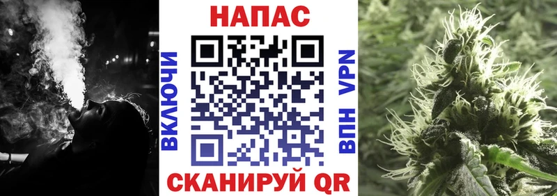 Бошки Шишки MAZAR Усмань